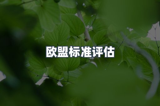 欧盟标准评估