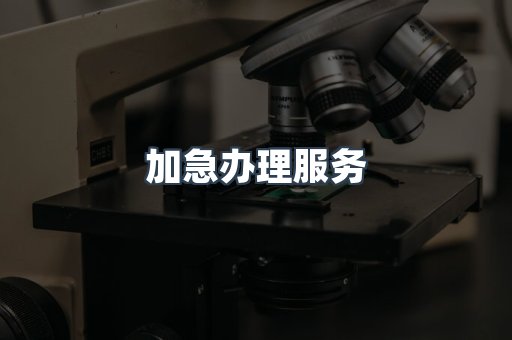 加急办理服务